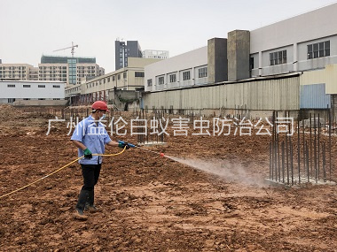 神山基础白蚁预防工程