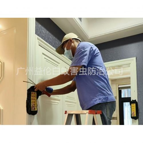 金沙洲住宅白蚁防治工程