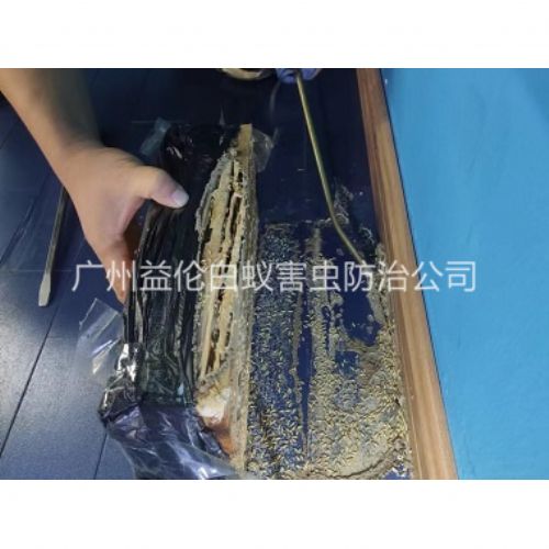 白云体育馆灭治白蚁工程