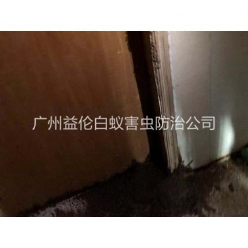 石井白蚁危害防治工程