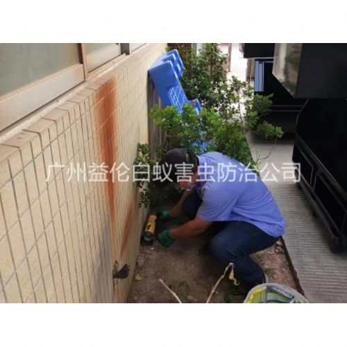 炭步投放灭鼠装置工程
