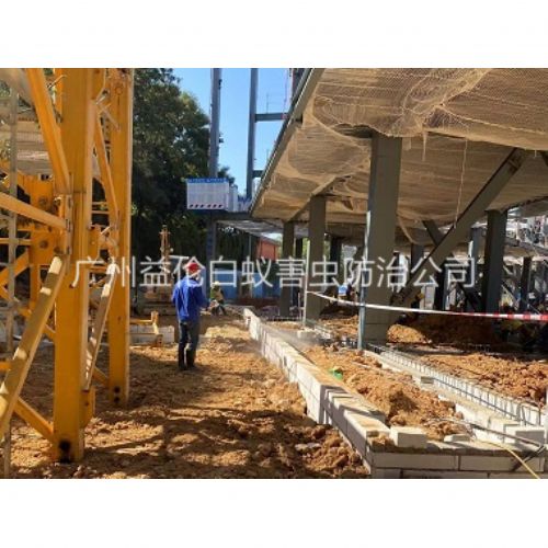 金沙洲新建白蚁预防工程