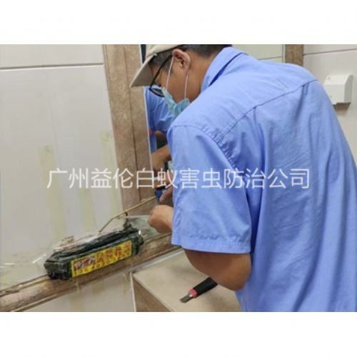 金沙洲诱杀箱施药灭杀白蚁工程