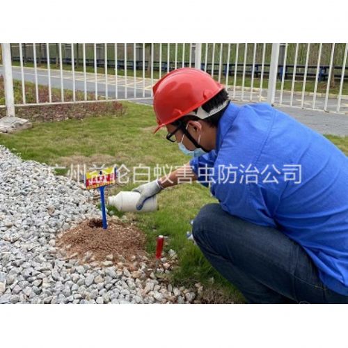 花都红火蚁防治工程