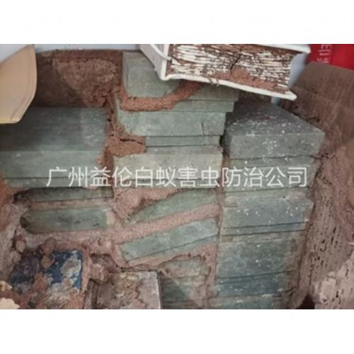 同和防治白蚁危害工程
