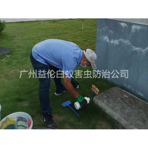 江高灭除红火蚁工程