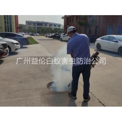 金沙洲登革热防控消杀工程