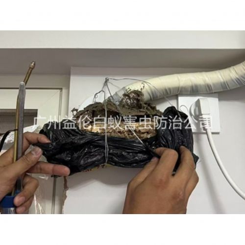 广州房屋白蚁诱杀工程