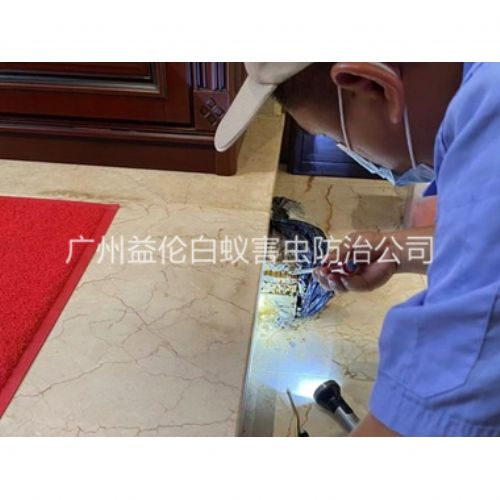 雅瑶安装诱杀箱监测白蚁工程